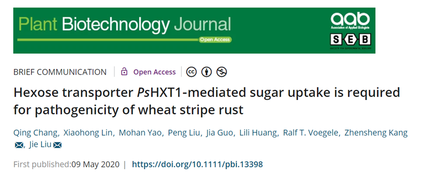 2f665290a6f04451a6af30697a78bbb4.png TC5OOG76L8)~P}WR[A)$C9O.png