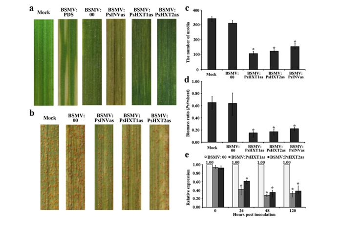 355fc851e75442ff948ceff540730994.png DBKTXR_EVHK`M0~E)F7YX0I.png