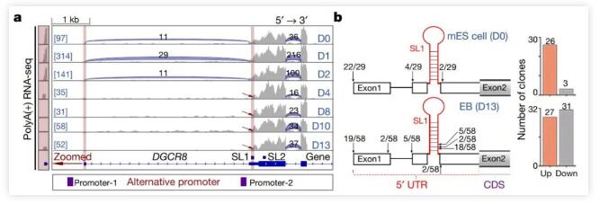 8df0898aaf8e4de3b7b0d30e92000996.jpg 8df0898aaf8e4de3b7b0d30e92000996.jpg