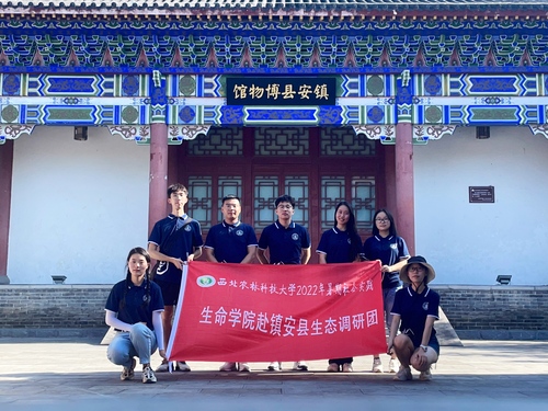 b784c99b82484792a65fdcf3ed8d32af.jpg 调研队参观镇安县博物馆.jpg