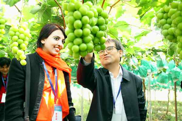 dacdb871953a4d5cab784d0d628cc049.jpg dacdb871953a4d5cab784d0d628cc049.jpg