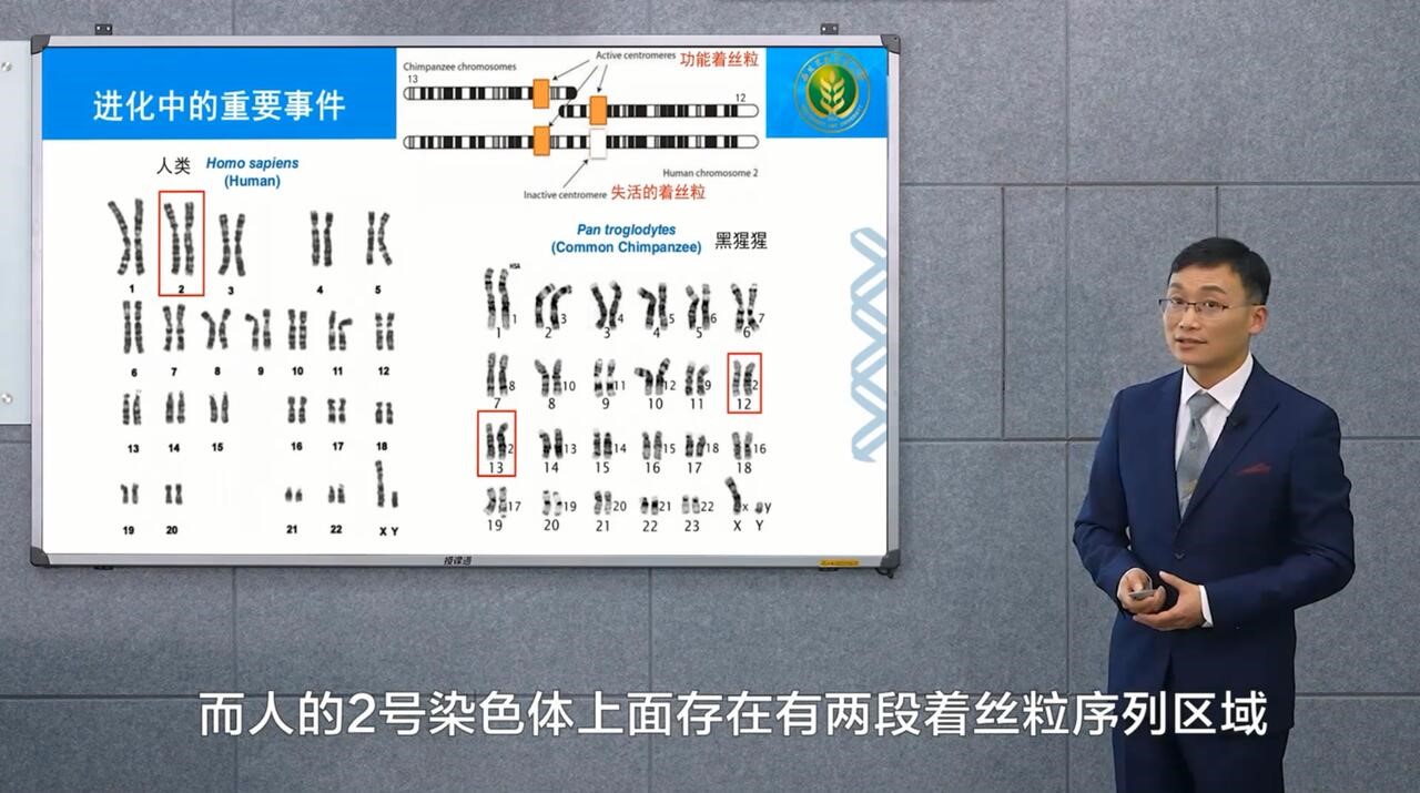 26e2a91828ca4a7da697f9543e7158a6.jpg 26e2a91828ca4a7da697f9543e7158a6.jpg