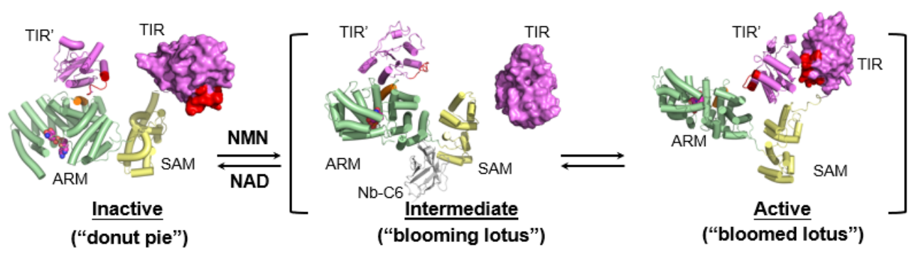 159fd7de8cf348e8b99ede6238cf42a1.png 159fd7de8cf348e8b99ede6238cf42a1.png