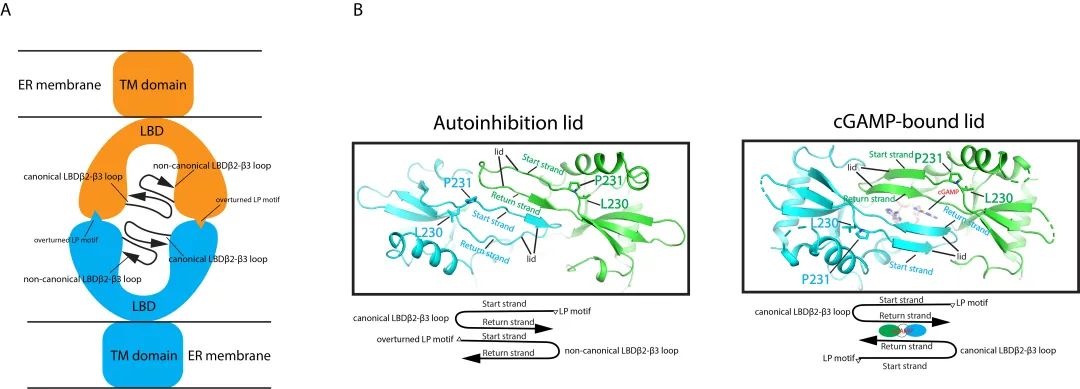 0d5902eb861d41db9acbce8d8c399db7.jpg 0d5902eb861d41db9acbce8d8c399db7.jpg