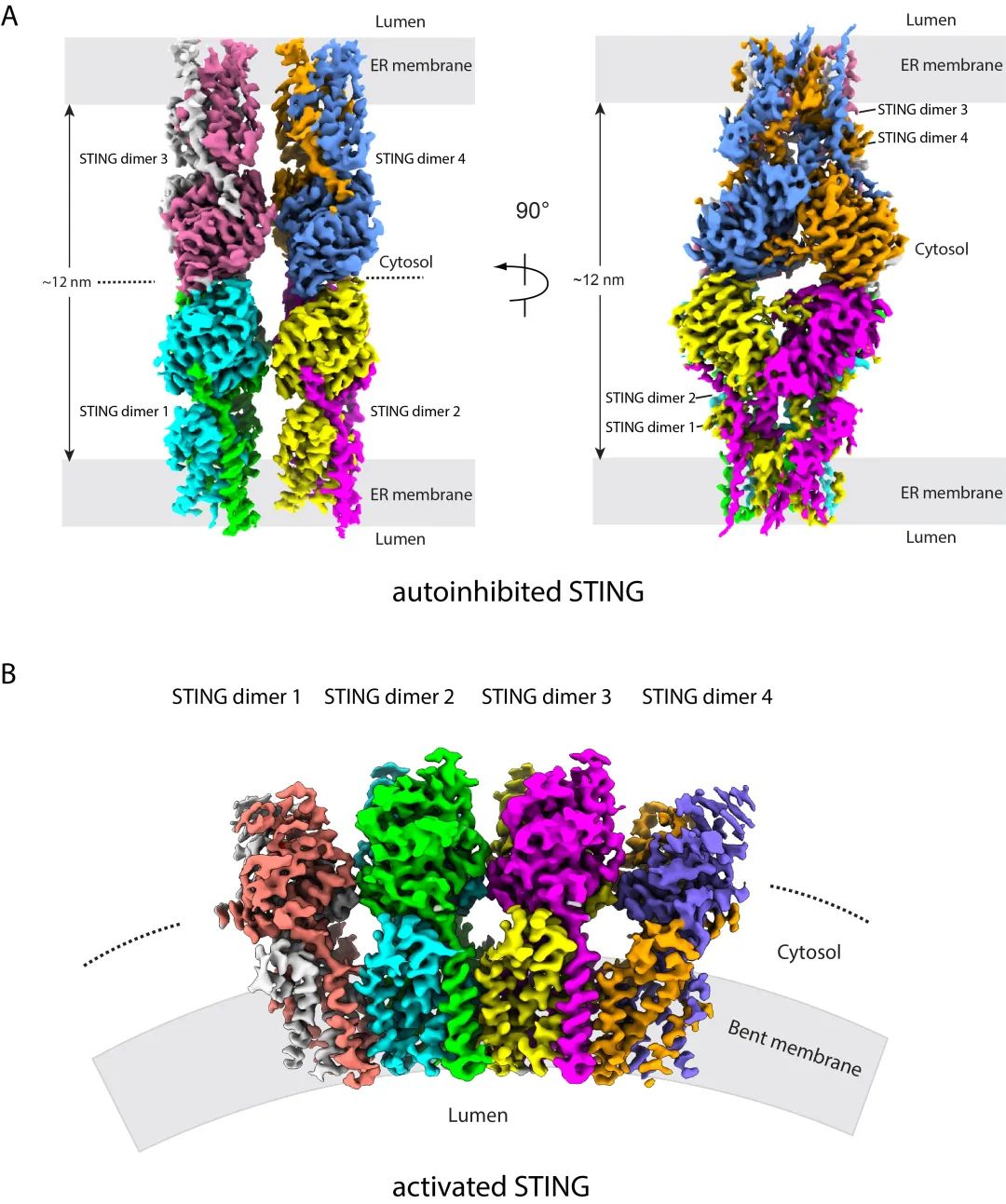 1b4678f4f5ae449095f762a94a2a2148.jpg 1b4678f4f5ae449095f762a94a2a2148.jpg