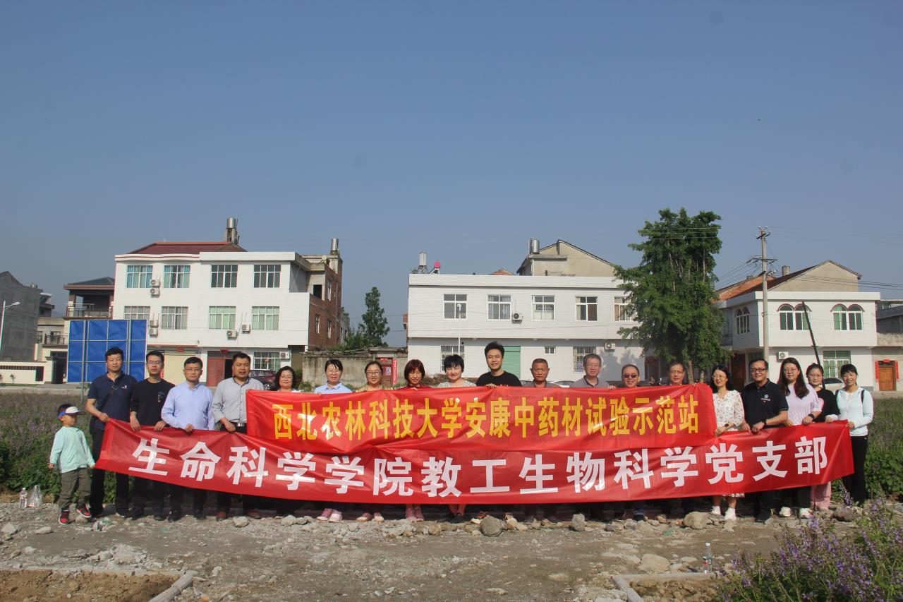 ab60b2f4ba5643c78c183ff3cb88c79b.jpg ab60b2f4ba5643c78c183ff3cb88c79b.jpg