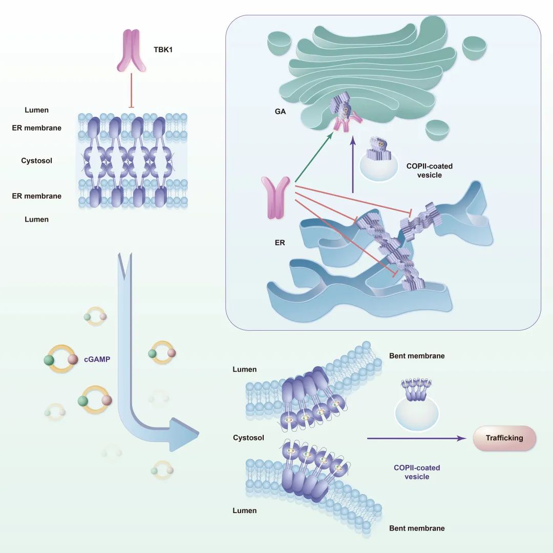 d0f5156db0364b419309a3f3a66f901c.jpg d0f5156db0364b419309a3f3a66f901c.jpg