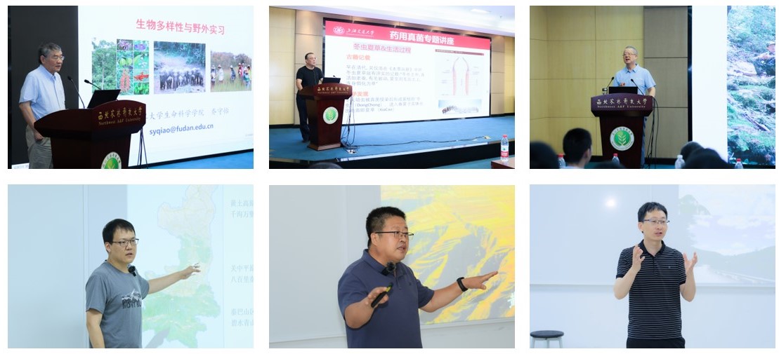 bdd93ed1160243aab040660ca7db18e8.jpg bdd93ed1160243aab040660ca7db18e8.jpg